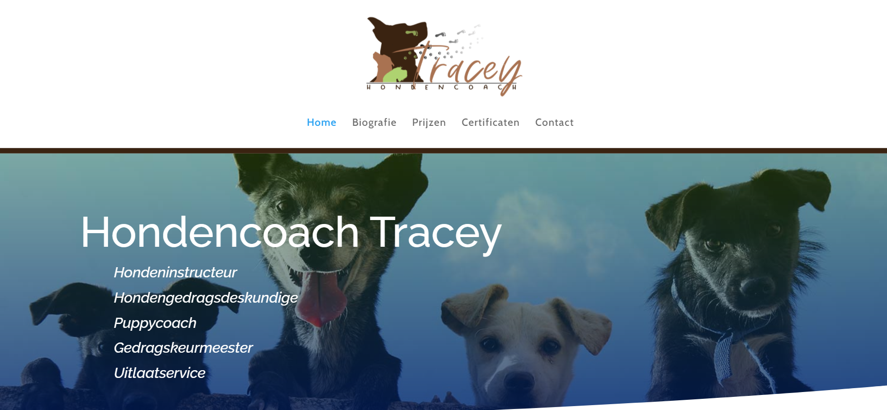 hondencoach-tracey.be